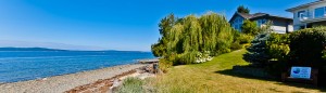 Waterfront homes