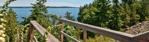 Water and walkway