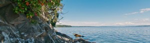 Waterfront property