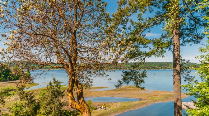 Ladysmith Real Estate
