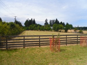 Lorne Gait can help you with Vancouver Island Farms Real Estate Listings