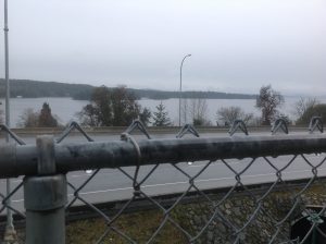 Ladysmith Rainy Winter Day