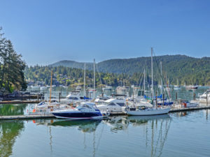 Vancouver Island Real Estate 2020