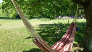 Vancouver Island staycation ideas for the whole family