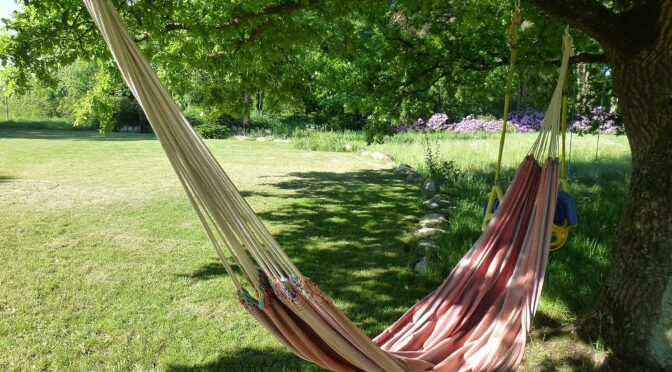 Vancouver Island staycation ideas for the whole family