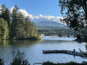 Market Update Vancouver Island